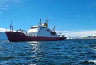 Український криголам 