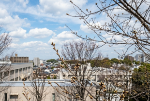 Прогноз погоди на 2 квітня: Діденко розповіла, що очікувати