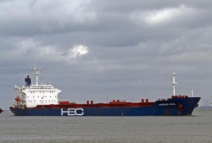 МЗС просить Ізраїль арештувати судно 