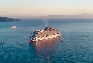 Круїзний лайнер неочікувано висадив 200 пасажирів у Камбоджі: подорож мала тривати ще рік